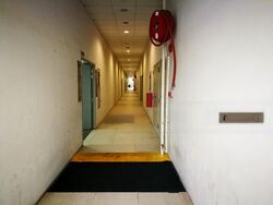 Premier @ Kaki Bukit (D14), Factory #472973641